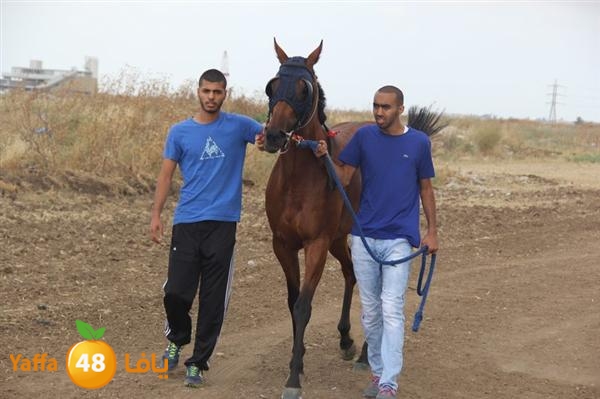 khoyoul lud 0610 (61).JPG